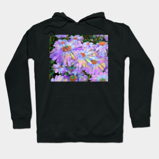 Purple daisy flowers Hoodie